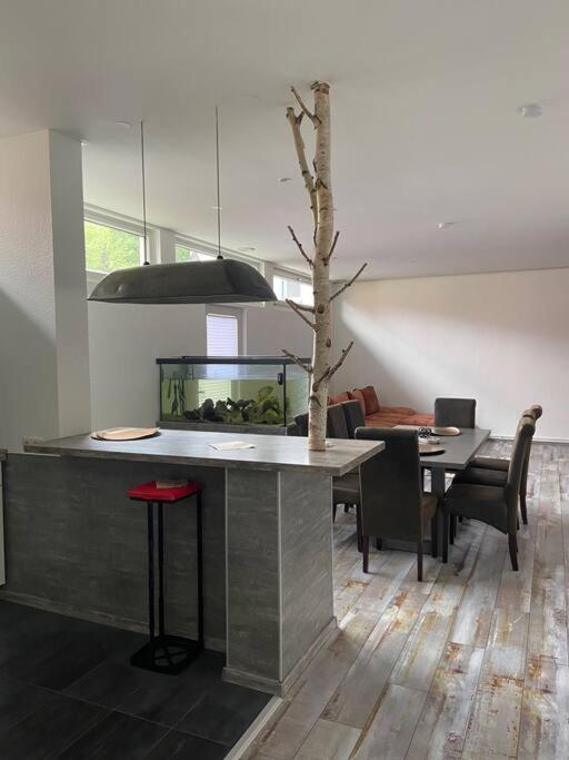 Apartament Bronzetaler Bad Harzburg Zewnętrze zdjęcie